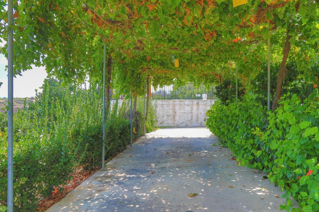 Villa Aphrodite Finiki Polis Eksteriør billede